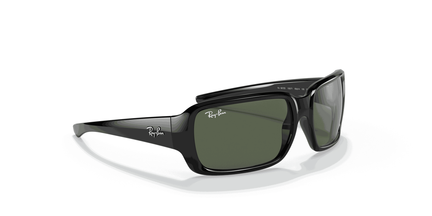 [Dark Green Lenses, Polished Black Frame]
