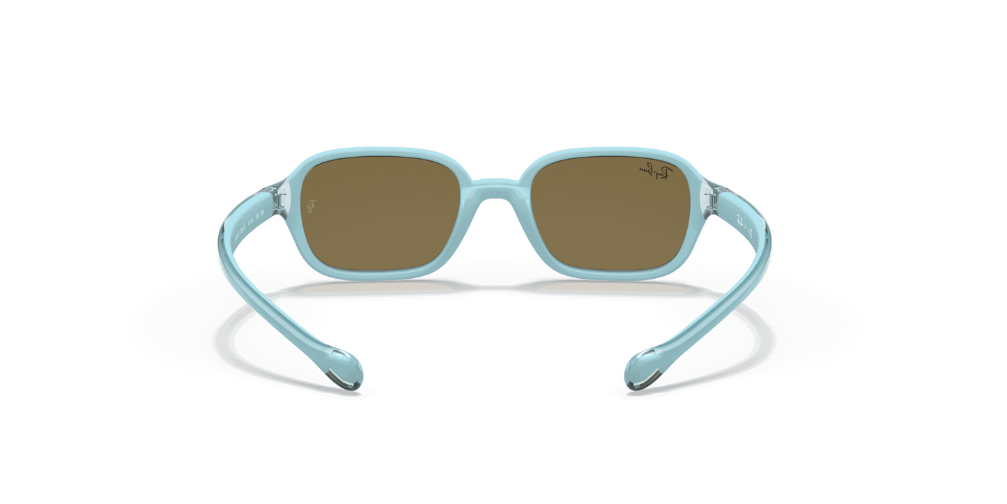 [Dark Brown Lenses, Polished Light Blue Frame]
