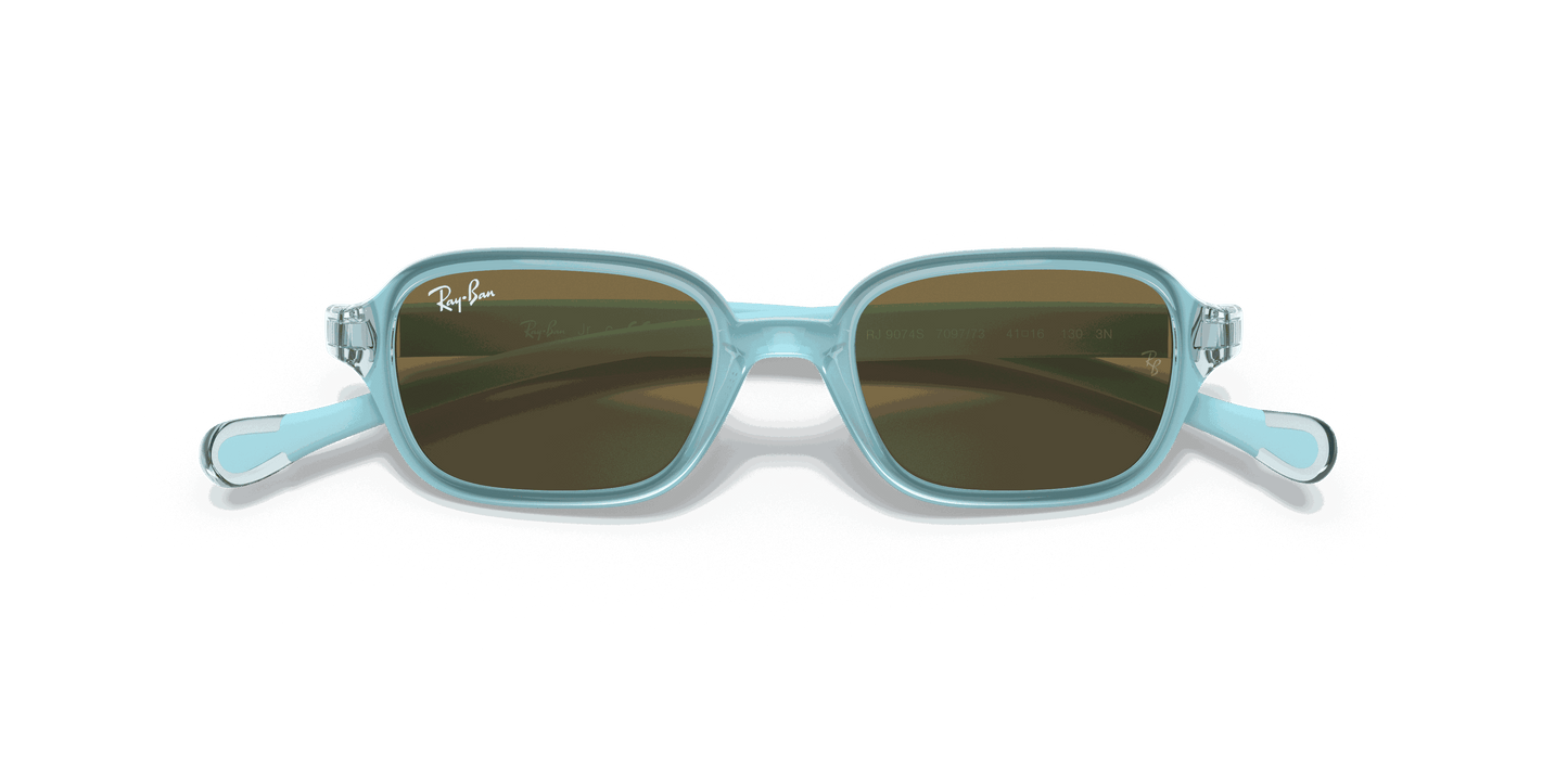 [Dark Brown Lenses, Polished Light Blue Frame]