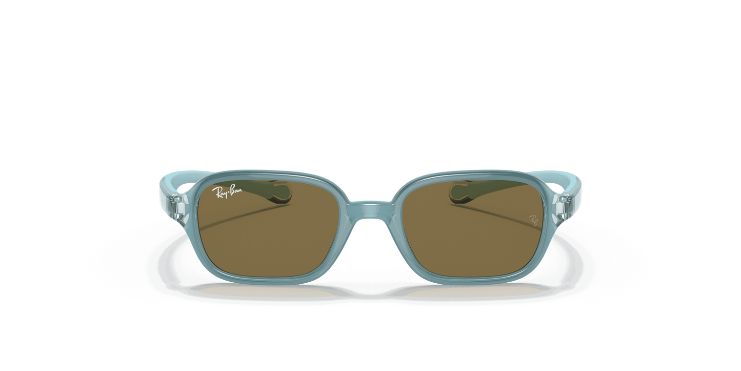 [Dark Brown Lenses, Polished Light Blue Frame]
