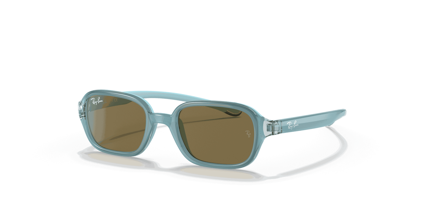 [Dark Brown Lenses, Polished Light Blue Frame]