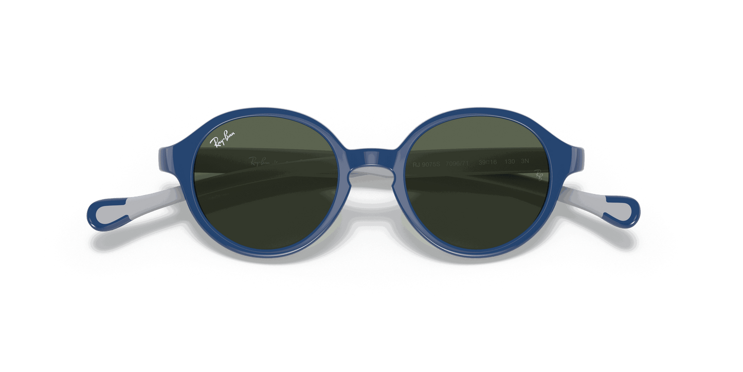 [Dark Green Lenses, Polished Blue On Grey Frame]