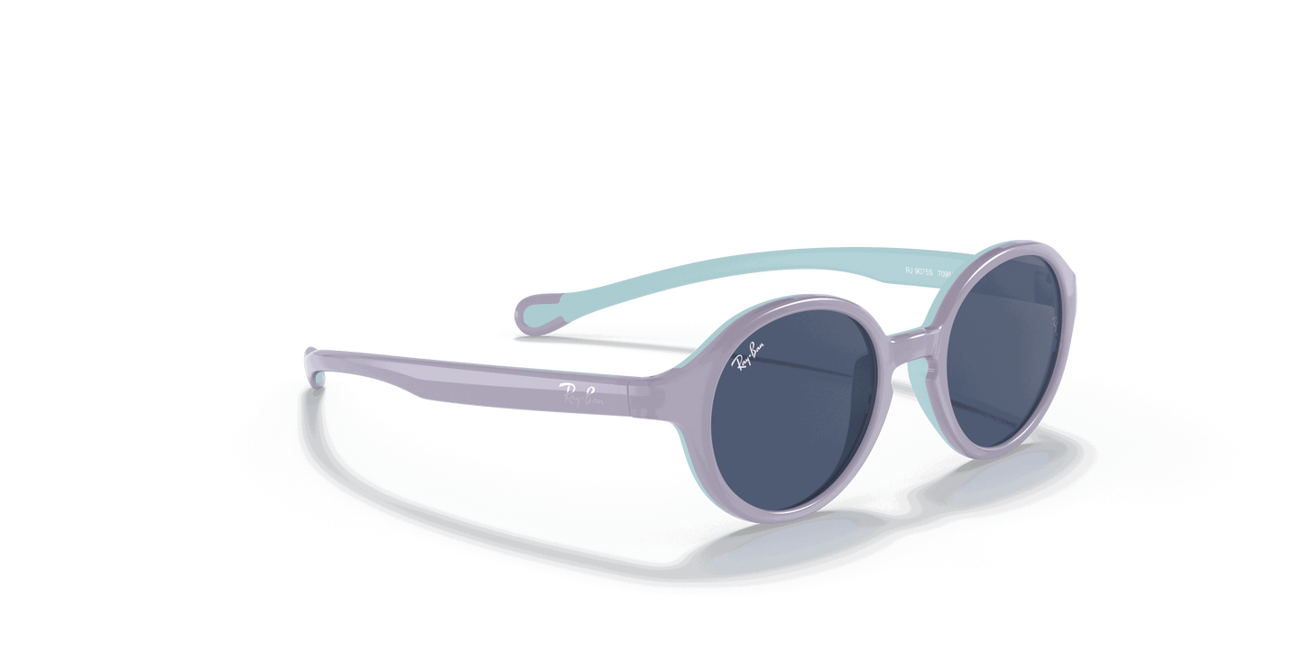 [Dark Blue Lenses, Polished Violet On Light Blue Frame]