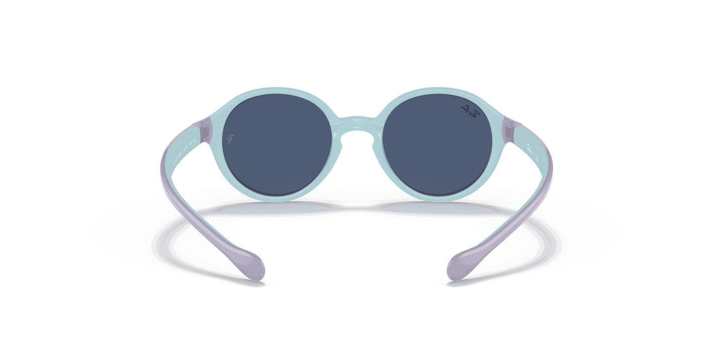 [Dark Blue Lenses, Polished Violet On Light Blue Frame]