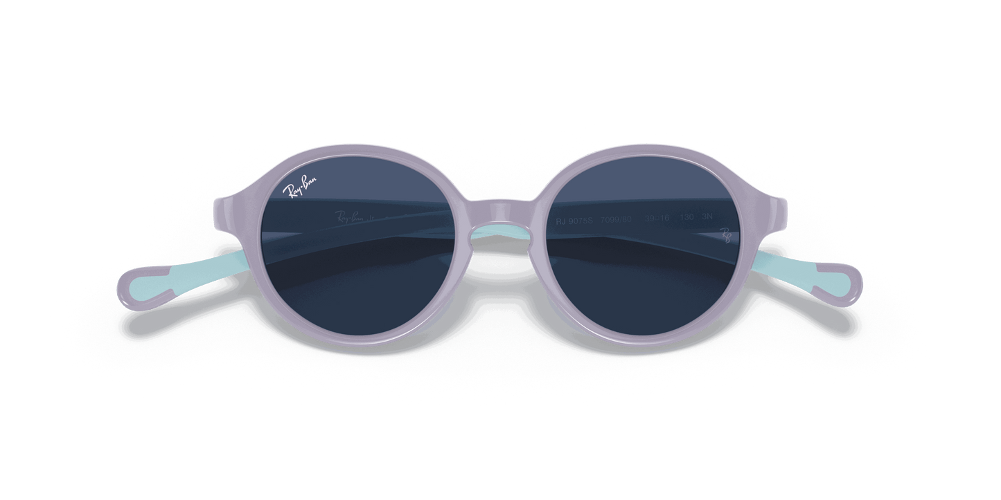 [Dark Blue Lenses, Polished Violet On Light Blue Frame]