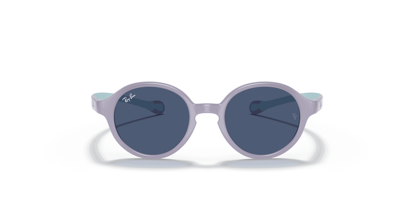 [Dark Blue Lenses, Polished Violet On Light Blue Frame]