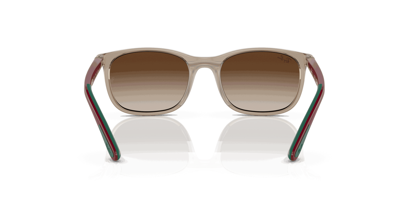 [Brown Lenses, Polished Brown On Green Frame]