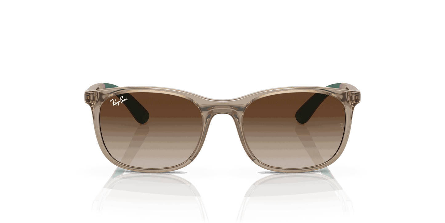 [Brown Lenses, Polished Brown On Green Frame]