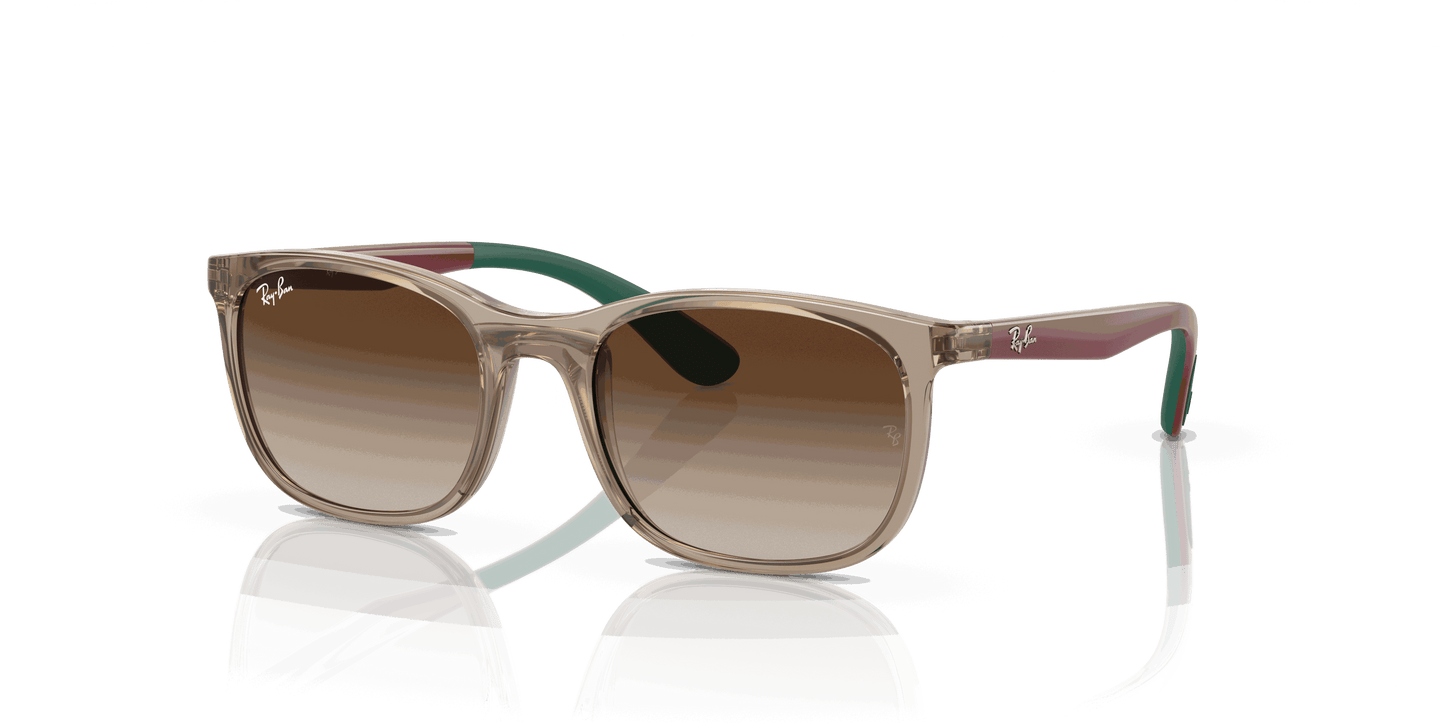 [Brown Lenses, Polished Brown On Green Frame]
