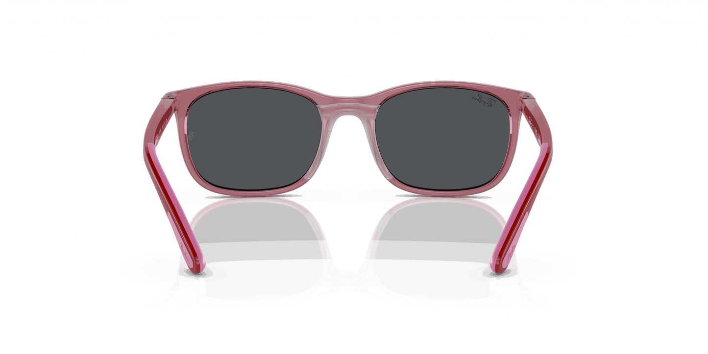 [Dark Grey Lenses, Polished Transparent Pink Frame]