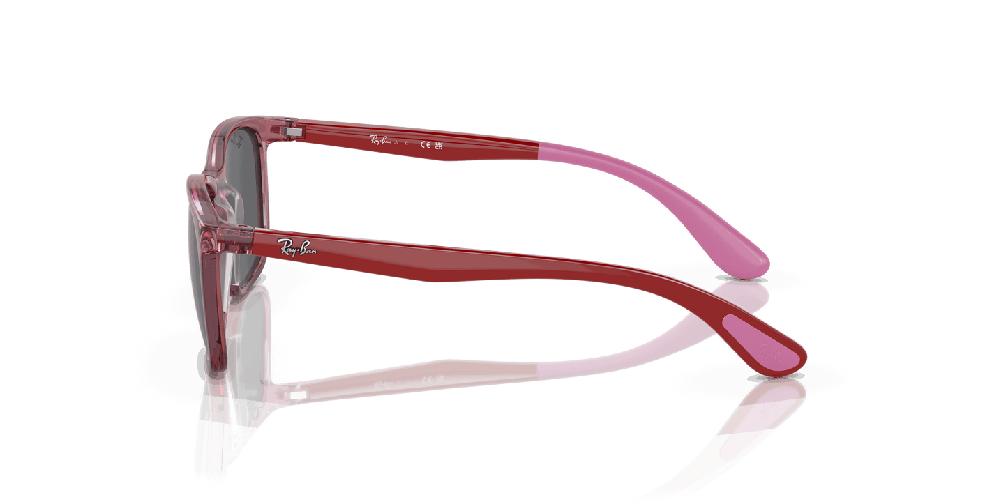 [Dark Grey Lenses, Polished Transparent Pink Frame]