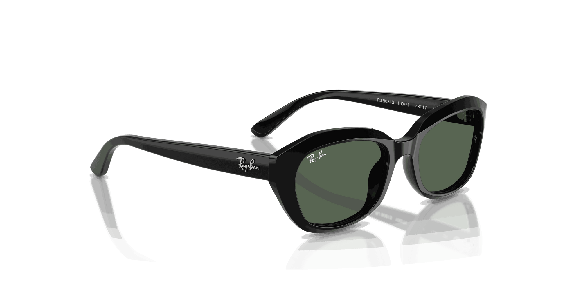 [Dark Green Lenses, Polished Black Frame]