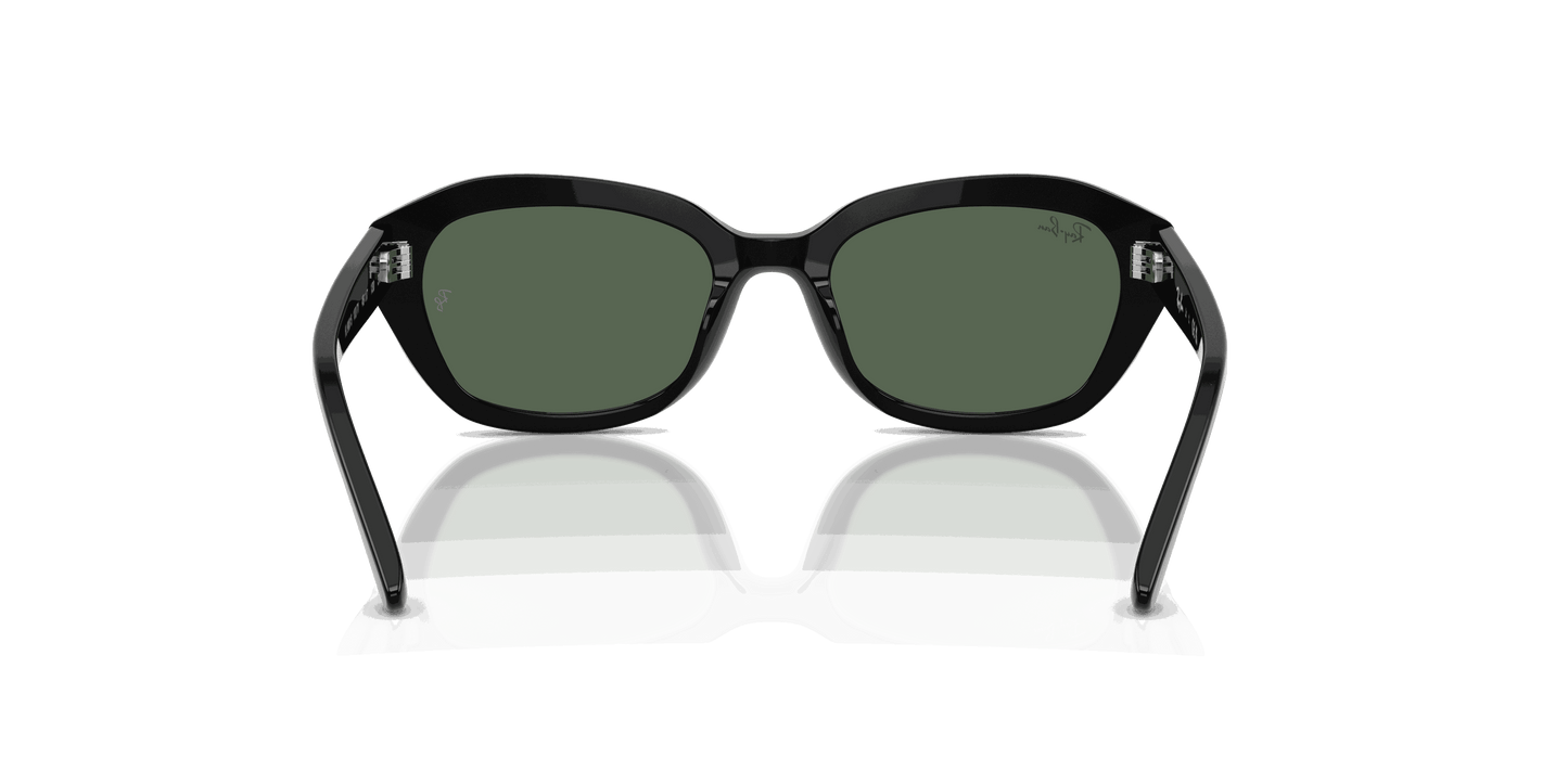 [Dark Green Lenses, Polished Black Frame]
