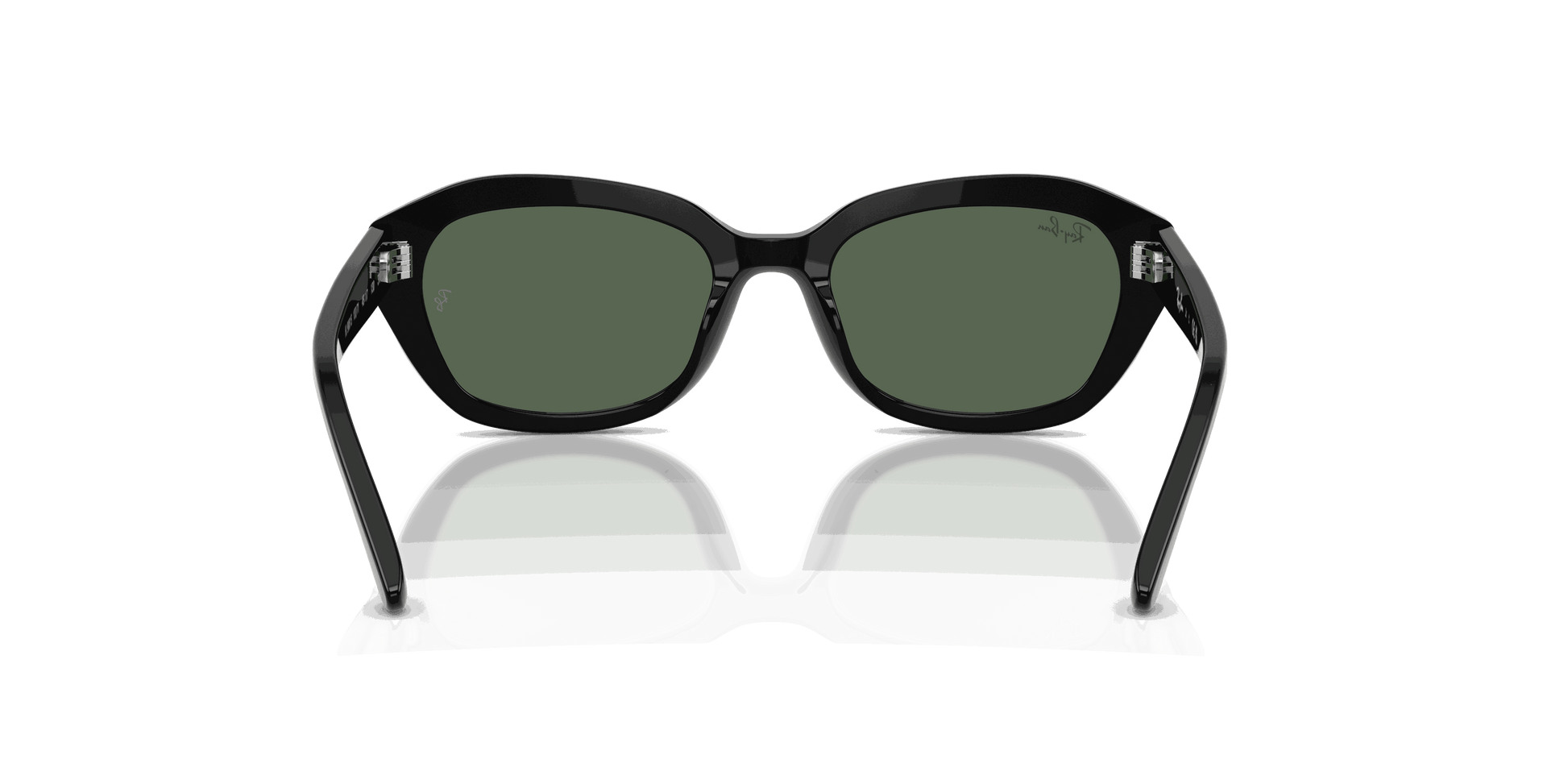 [Dark Green Lenses, Polished Black Frame]