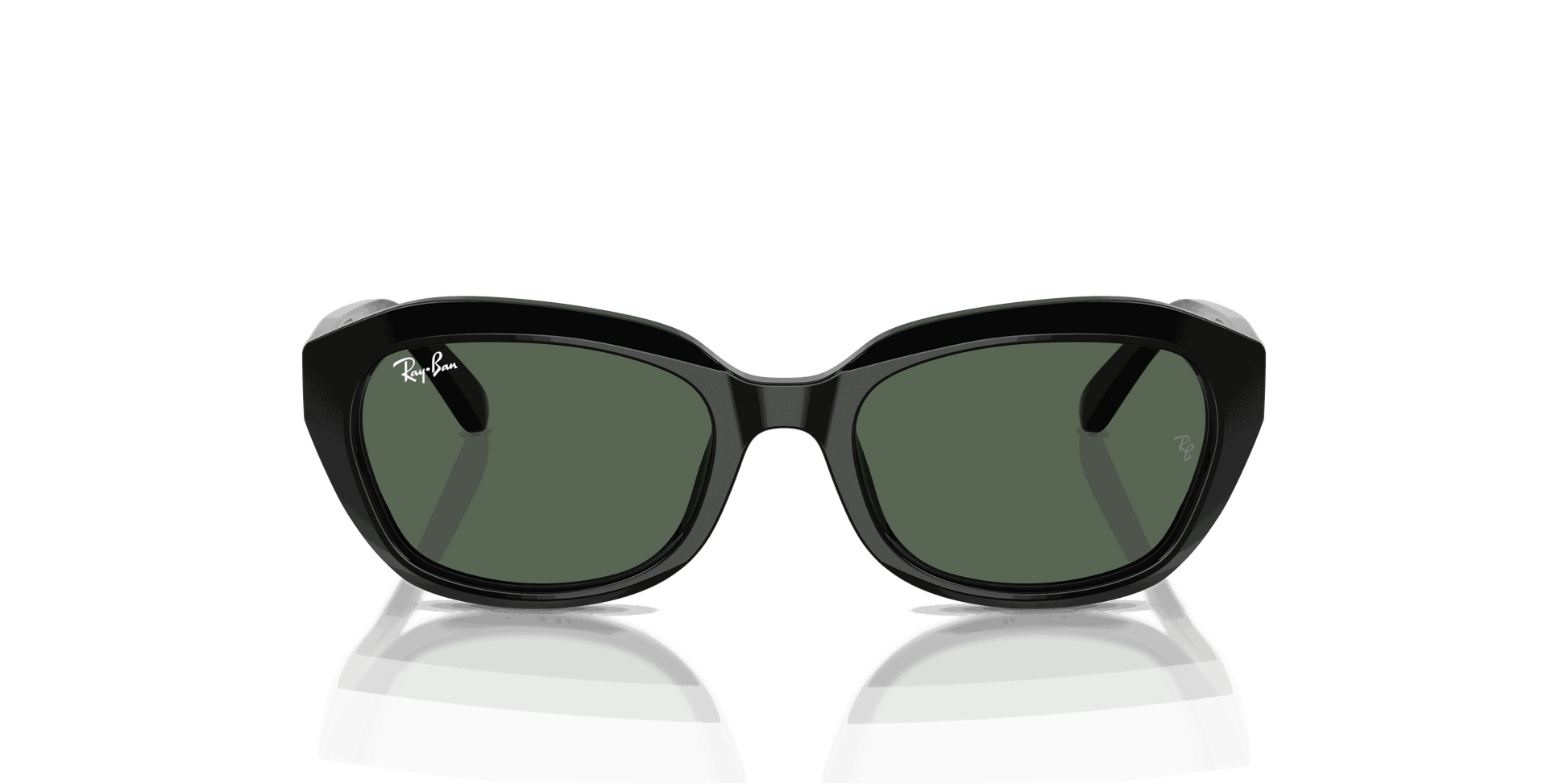 [Dark Green Lenses, Polished Black Frame]