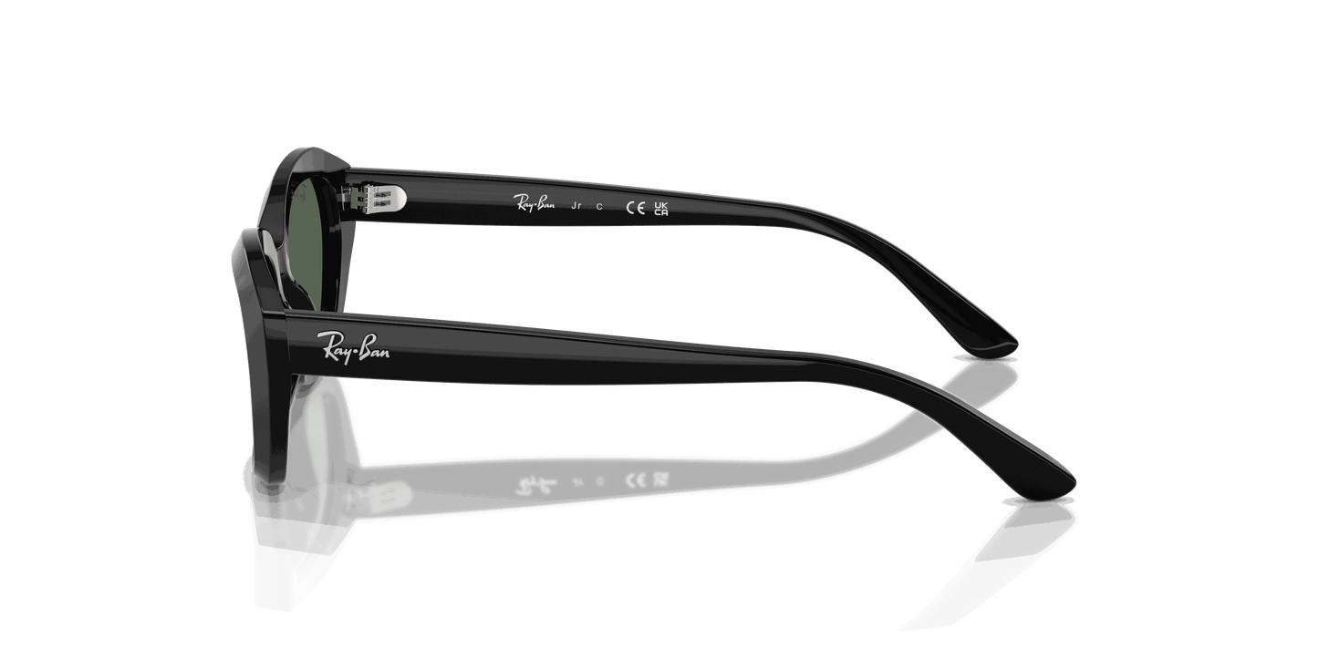 [Dark Green Lenses, Polished Black Frame]