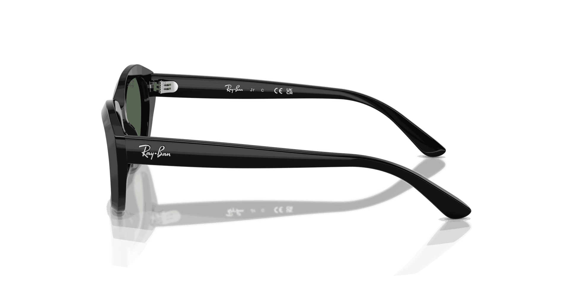 [Dark Green Lenses, Polished Black Frame]