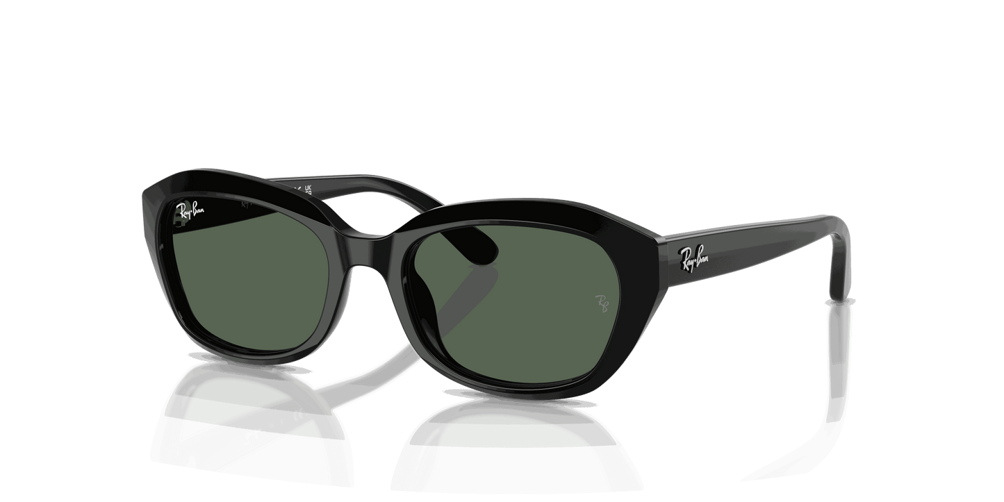 [Dark Green Lenses, Polished Black Frame]