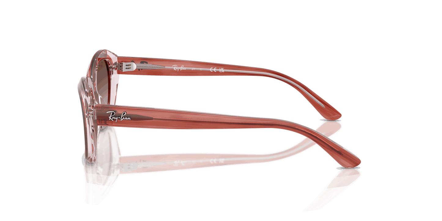 [Gradient Brown Lenses, Polished Striped Pink On Transparent Pink Frame]