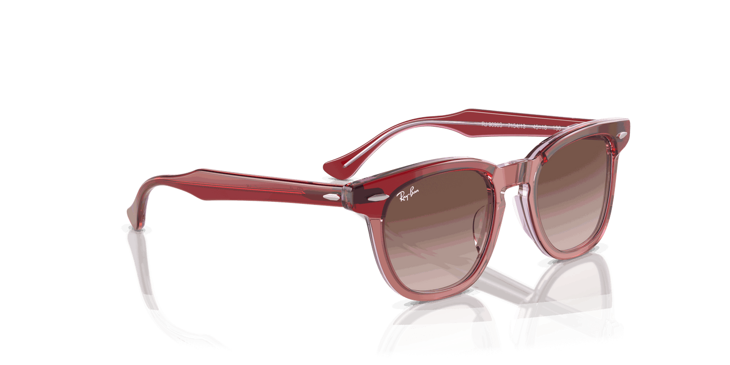 [Brown Lenses, Polished Top Red & Orange & Light Purple Frame]