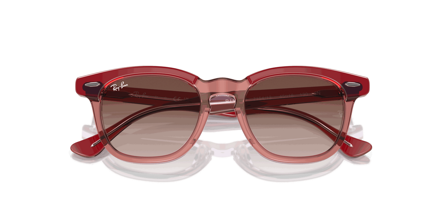 [Brown Lenses, Polished Top Red & Orange & Light Purple Frame]