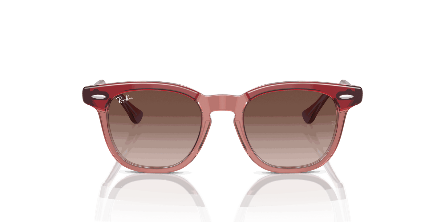[Brown Lenses, Polished Top Red & Orange & Light Purple Frame]