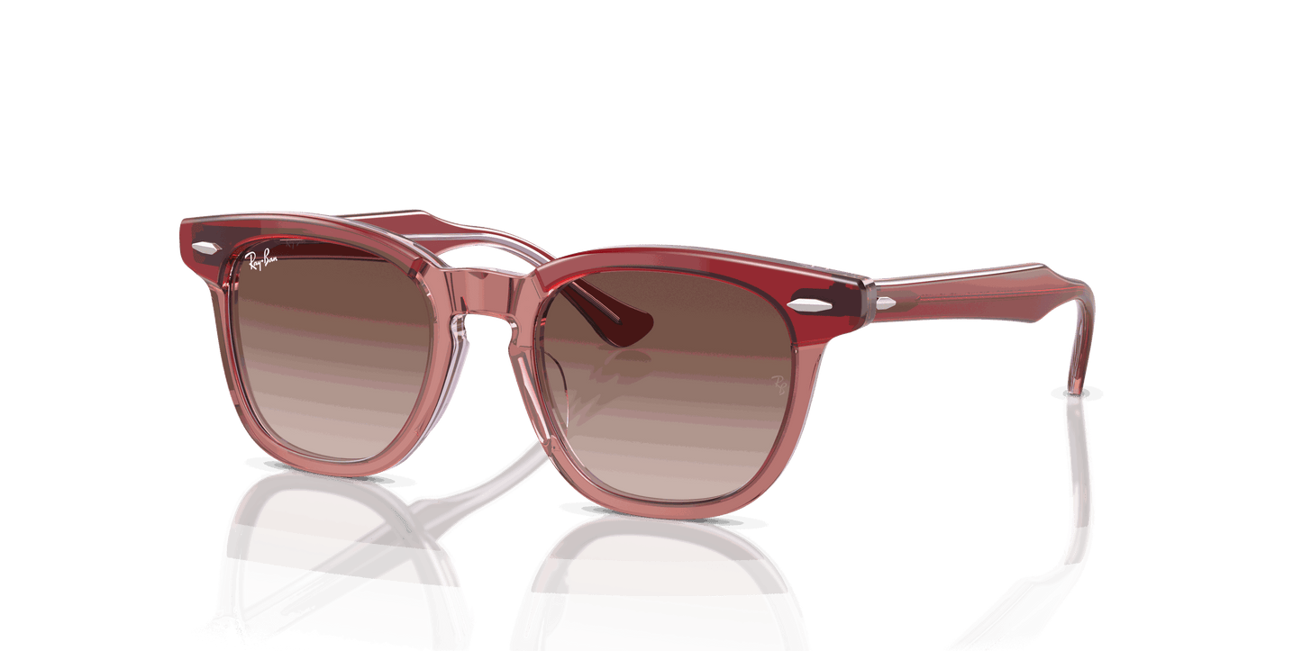 [Brown Lenses, Polished Top Red & Orange & Light Purple Frame]