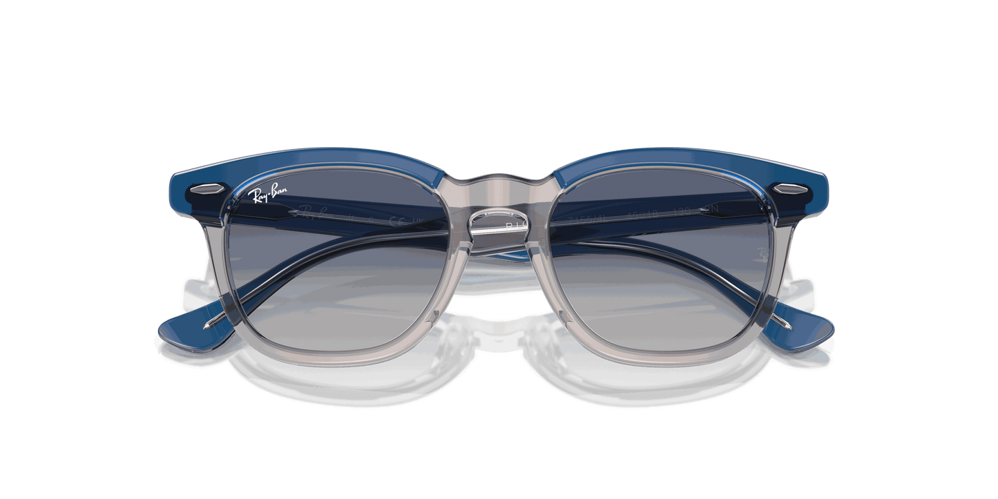 [Grey/Blue Lenses, Polished Top Dark Blue & Brown & Light Grey Frame]