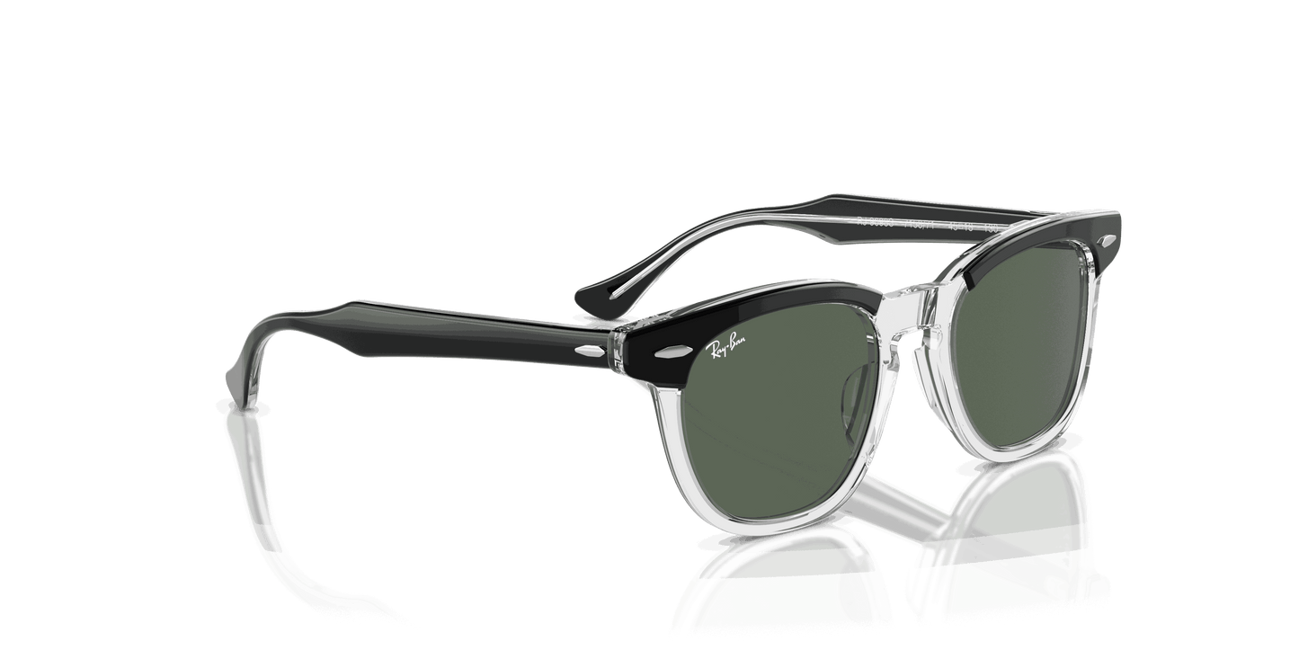 [Dark Green Lenses, Polished Black On Transparent Frame]