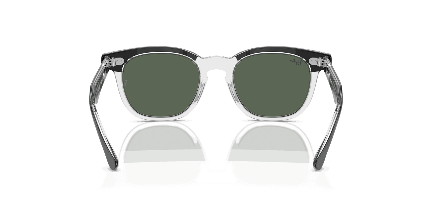 [Dark Green Lenses, Polished Black On Transparent Frame]
