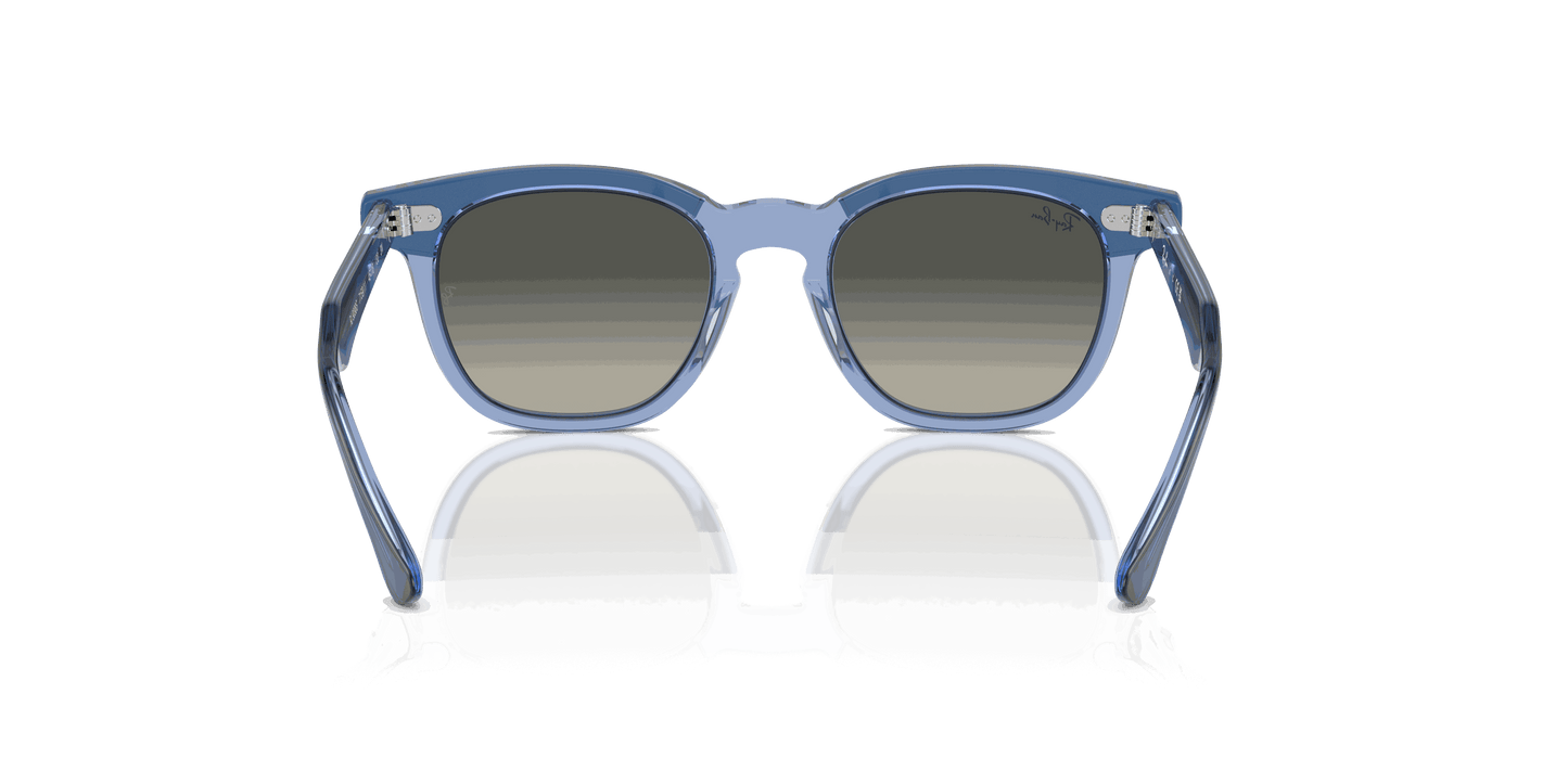 [Grey Lenses, Polished Top Violet On Transparent Violet Frame]