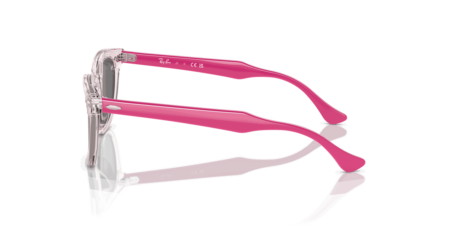 [Dark Grey Lenses, Polished Transparent Pink Frame]