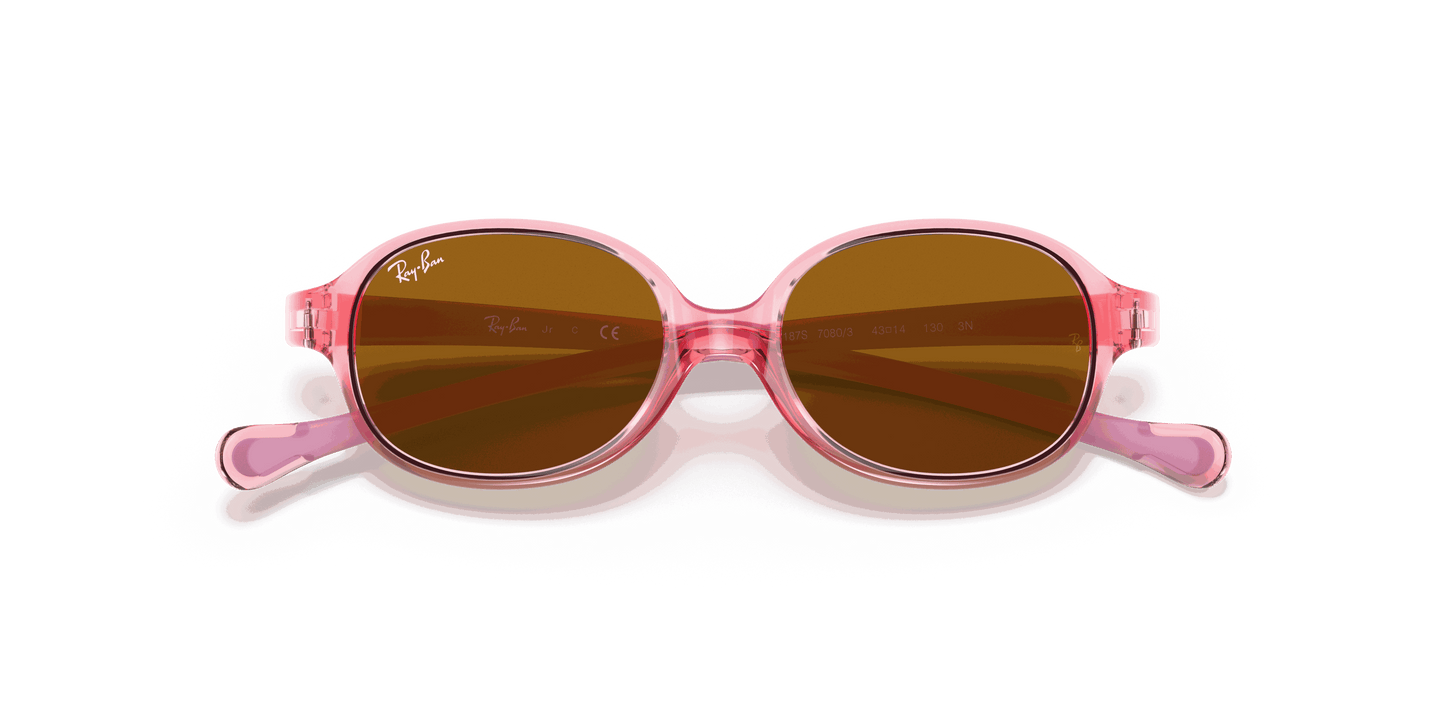 [Brown Lenses, Polished Transparent Light Red Frame]