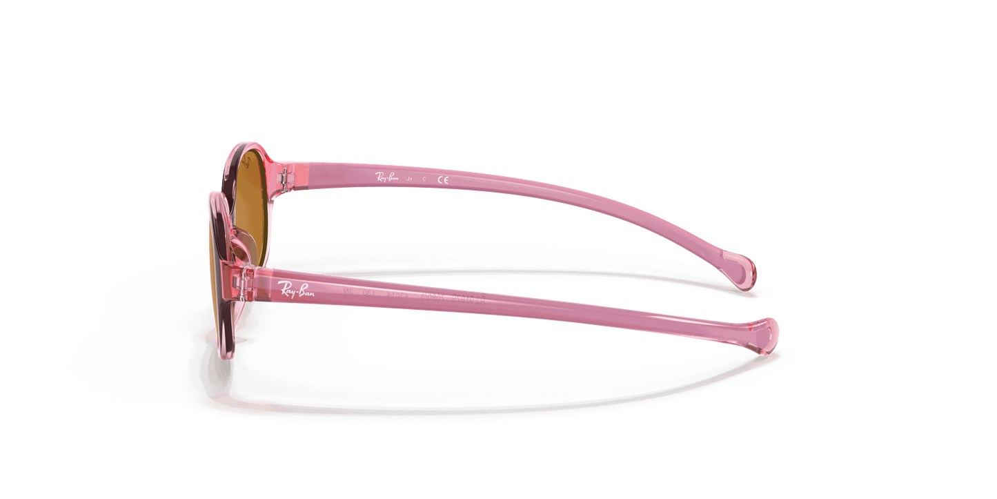 [Brown Lenses, Polished Transparent Light Red Frame]