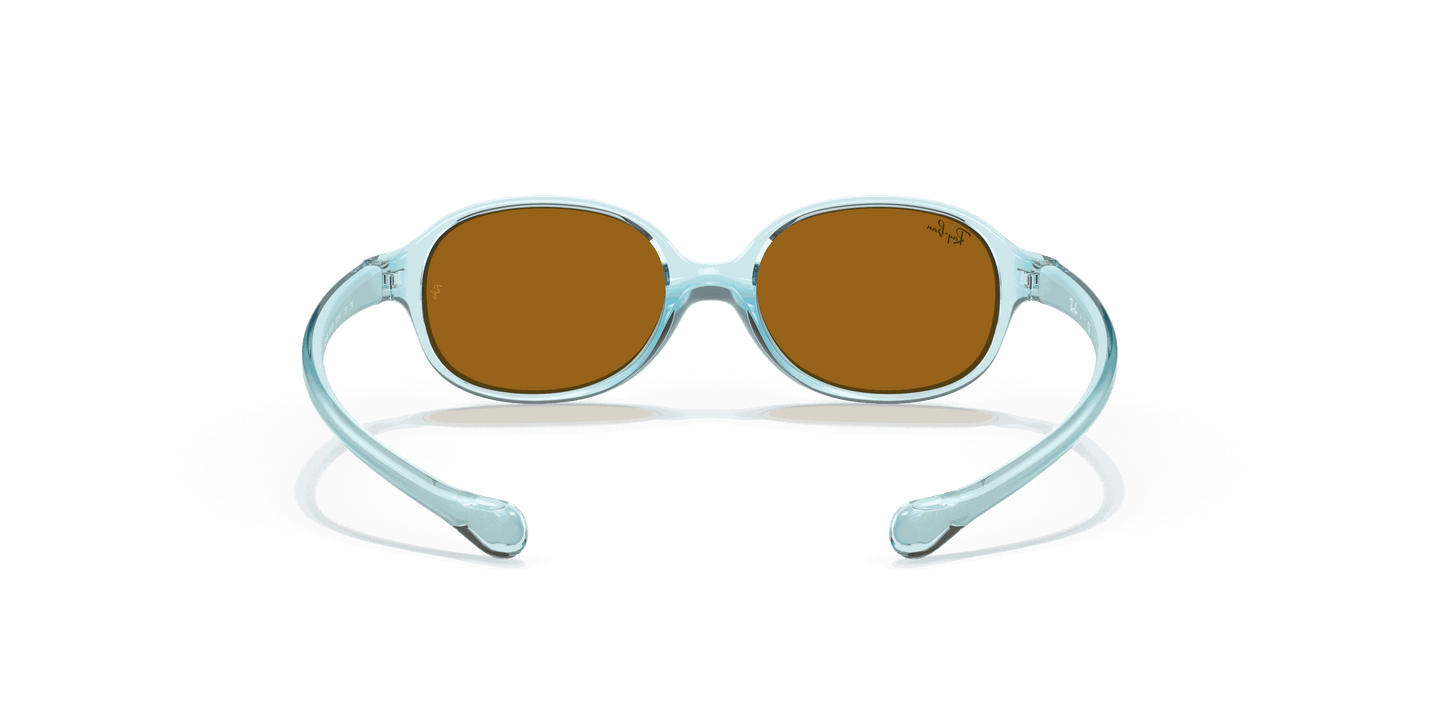 [Brown Lenses, Polished Transparent Light Blue Frame]