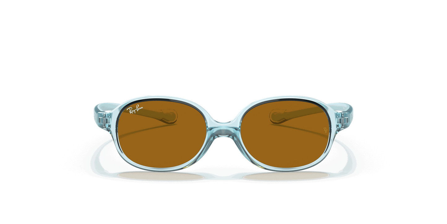 [Brown Lenses, Polished Transparent Light Blue Frame]