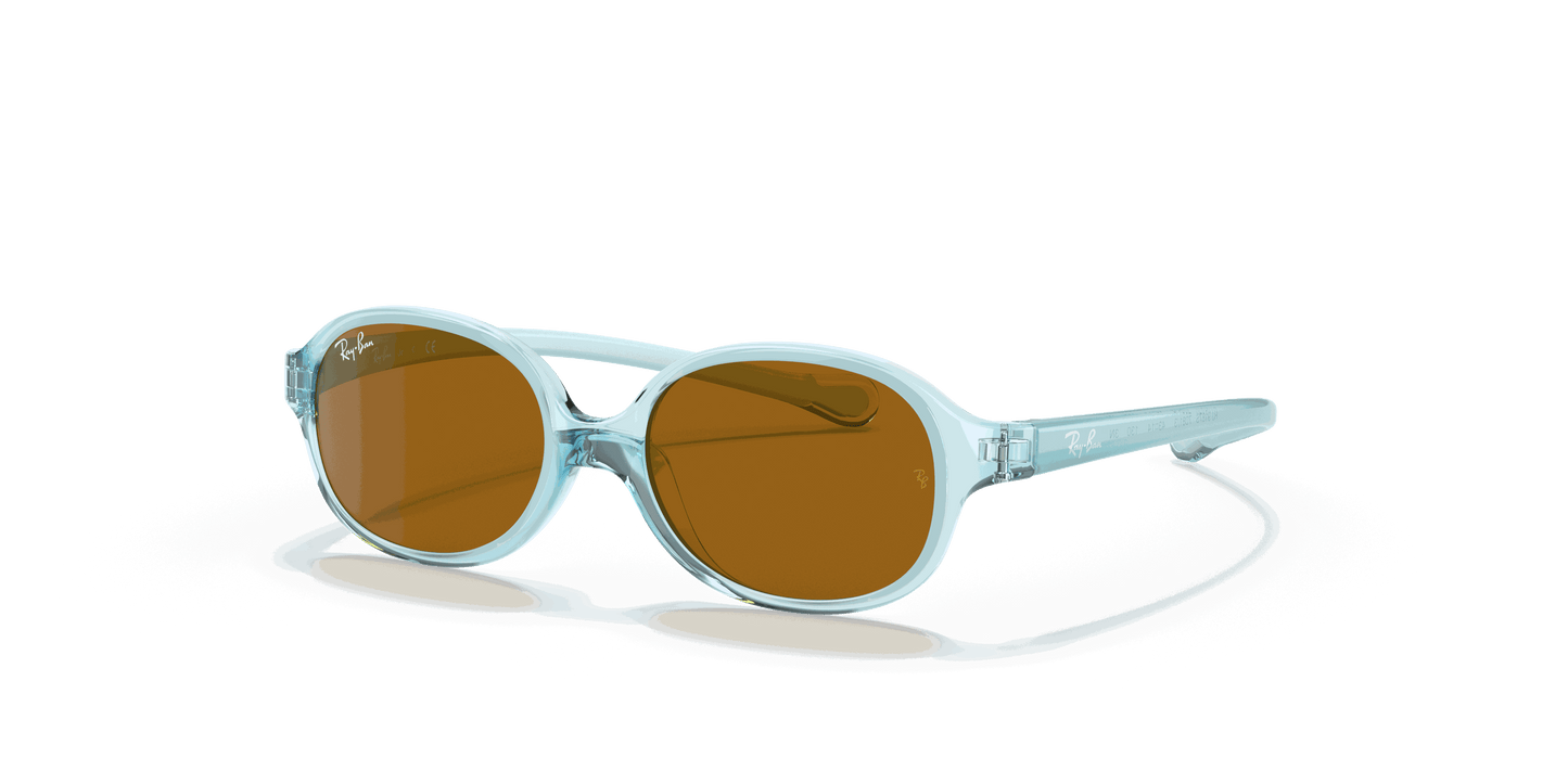 [Brown Lenses, Polished Transparent Light Blue Frame]