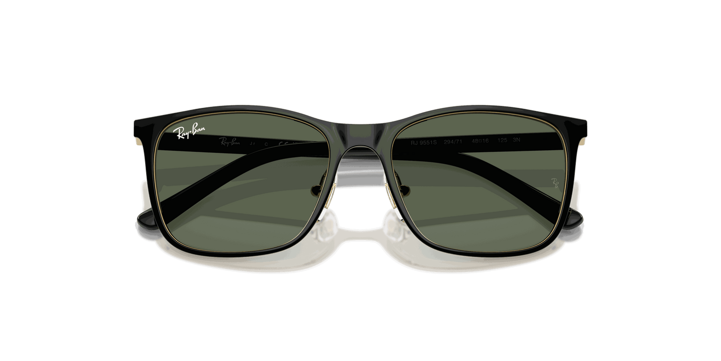 [Dark Green Lenses, Polished Black On Arista Frame]