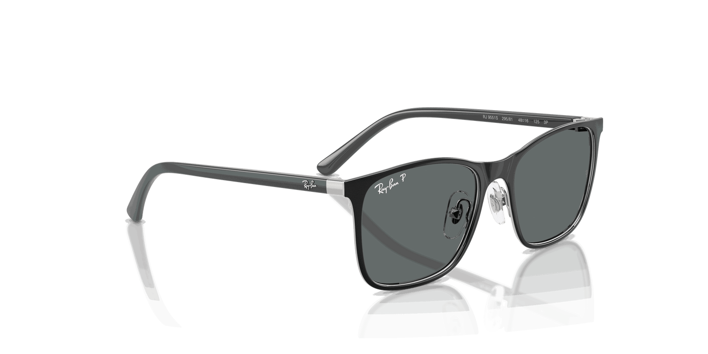 [Dark Grey Polar Lenses, Polished Black On Silver Frame]