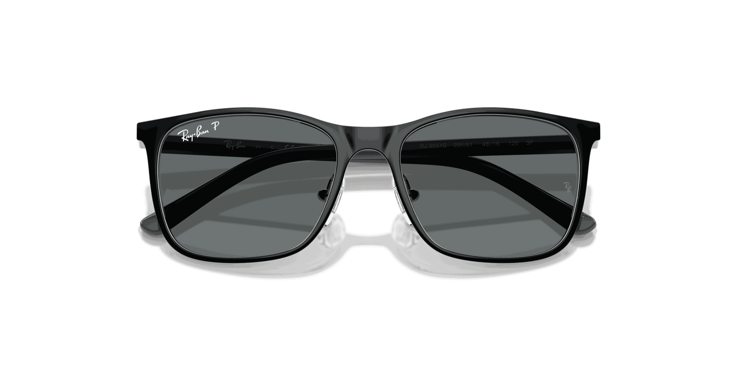 [Dark Grey Polar Lenses, Polished Black On Silver Frame]