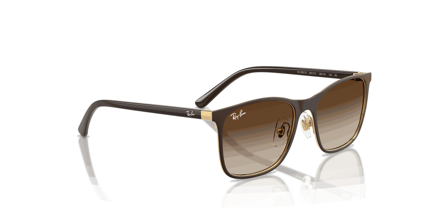 [Gradient Brown Lenses, Matte Brown On Arista Frame]