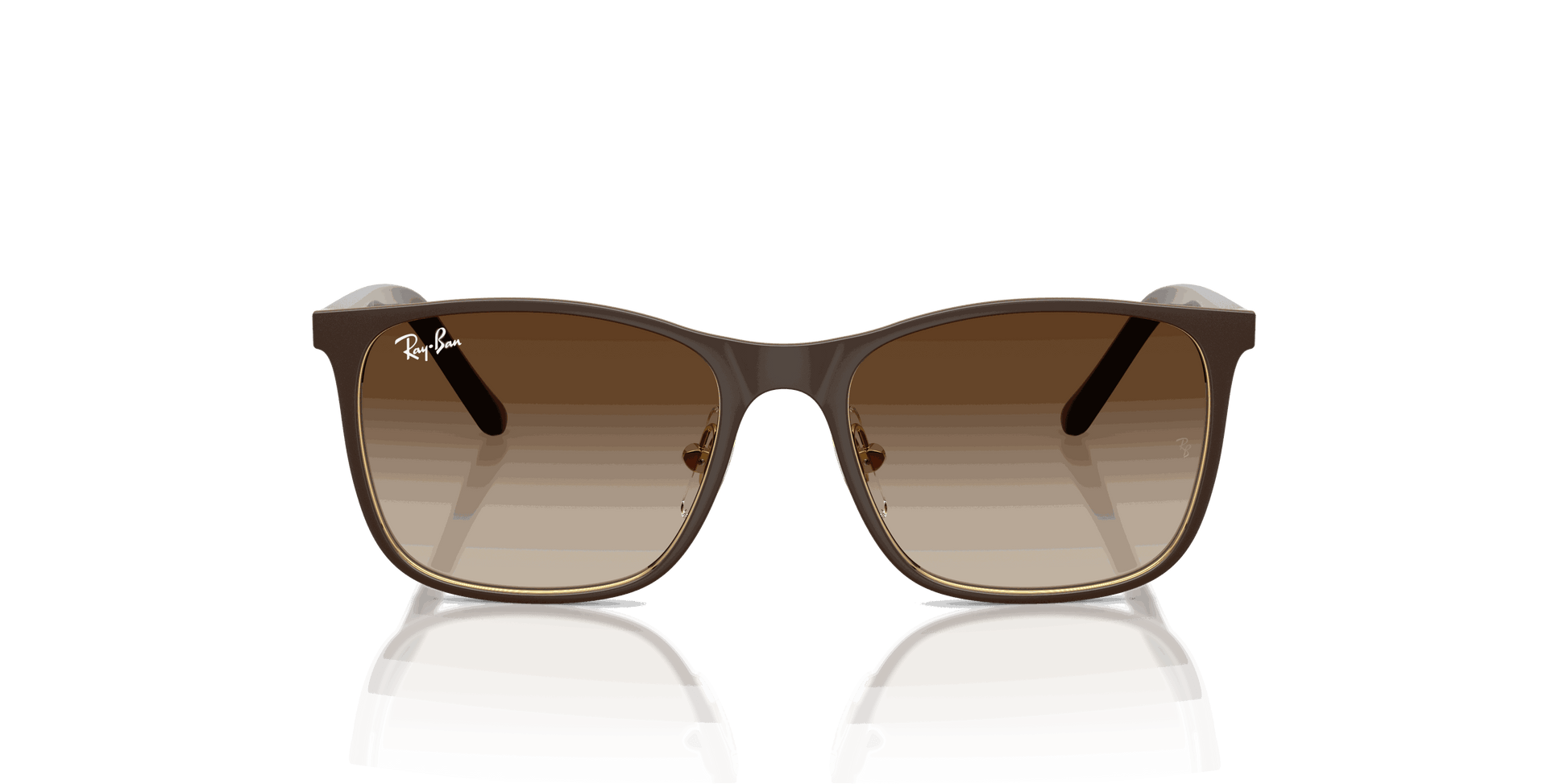 [Gradient Brown Lenses, Matte Brown On Arista Frame]