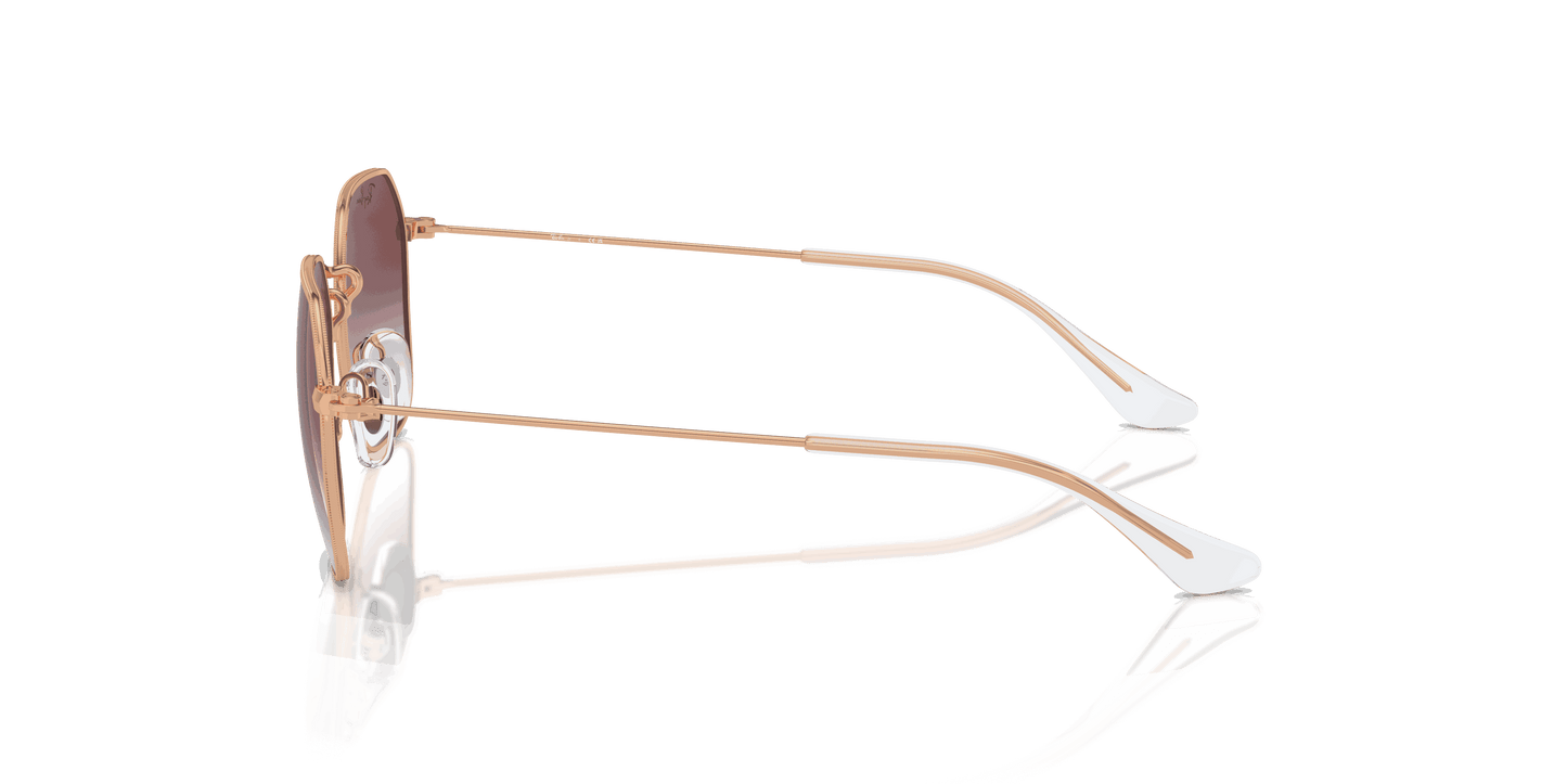[Clear & Dark Violet Lenses, Polished Rose Gold Frame]