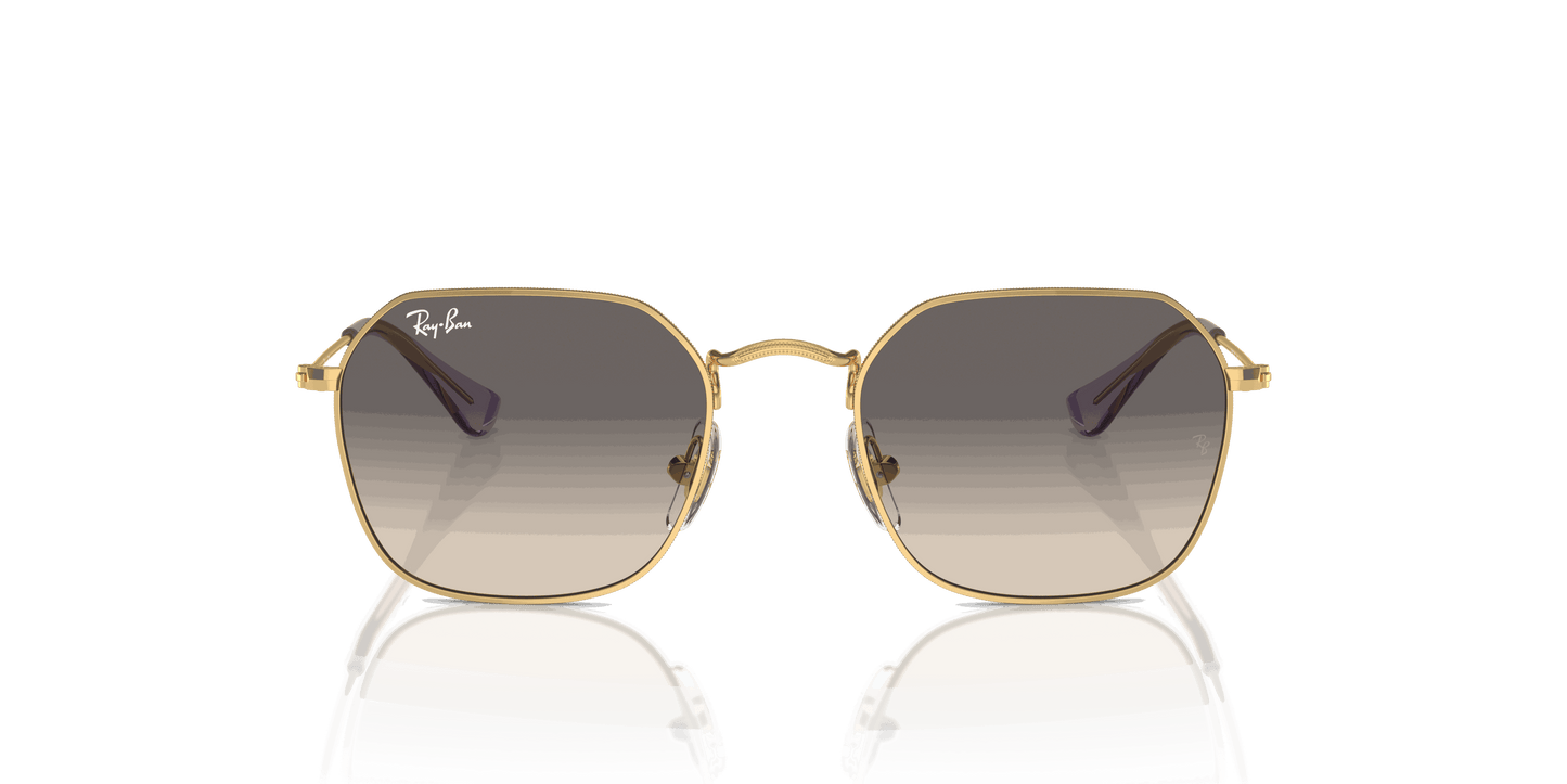 [Grey Lenses, Polished Arista Gold Frame]