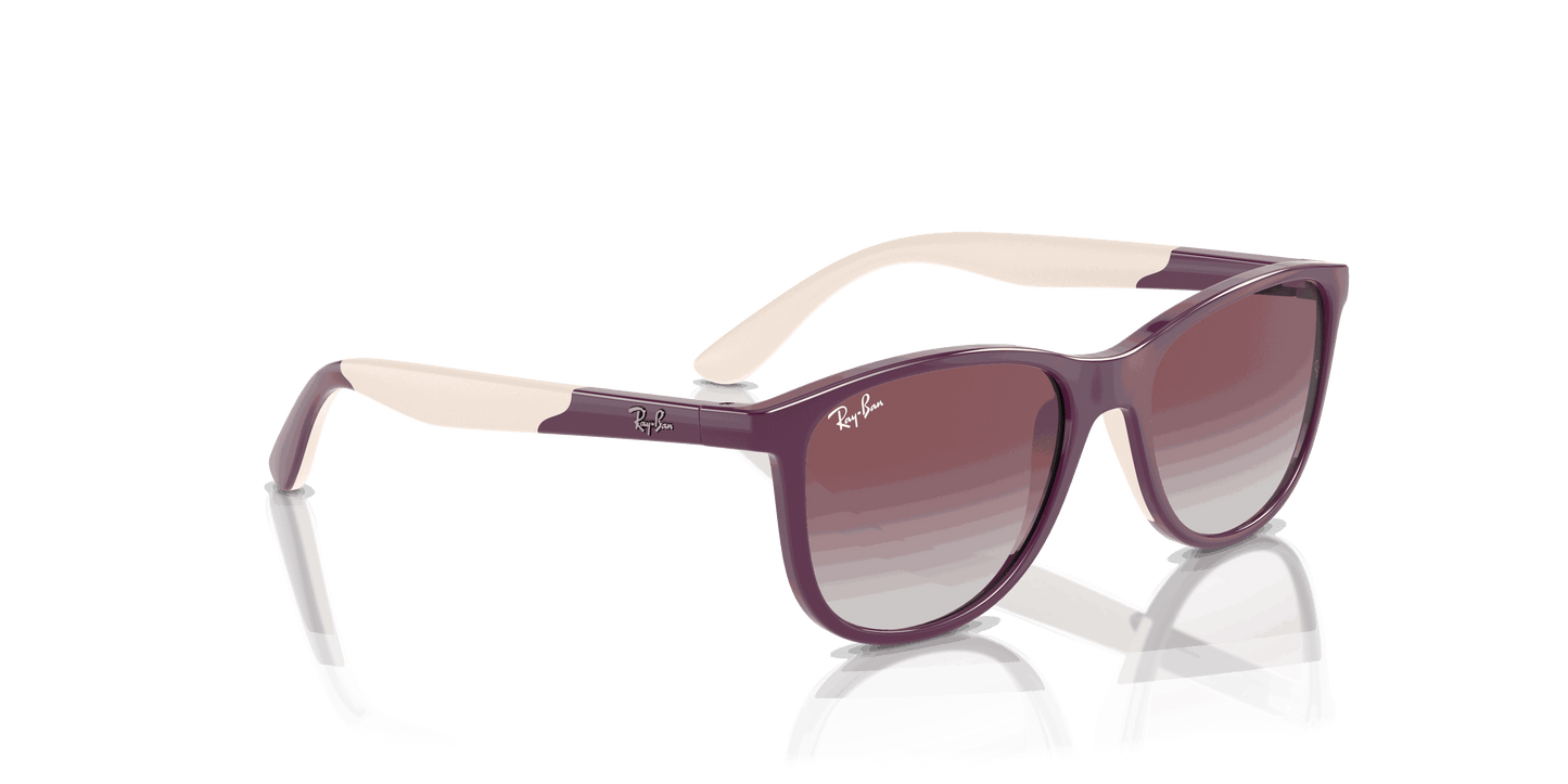 [Violet/Grey Lenses, Polished Purple On Beige Frame]