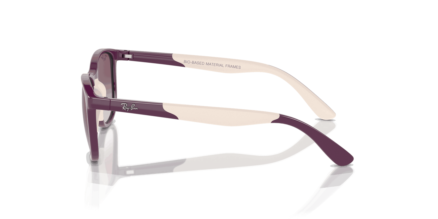 [Violet/Grey Lenses, Polished Purple On Beige Frame]