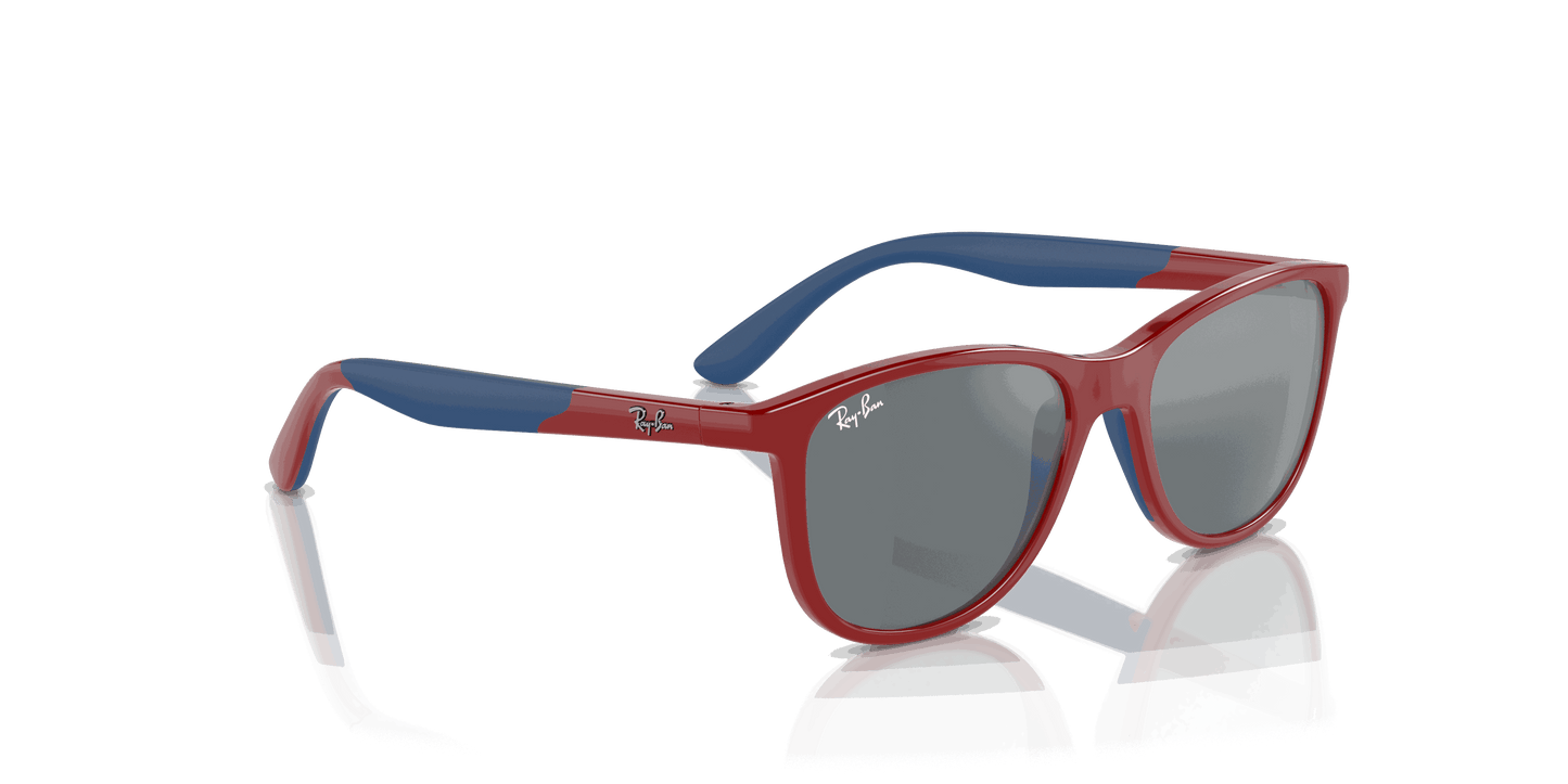 [Grey Black Lenses, Polished Red On Blue Frame]