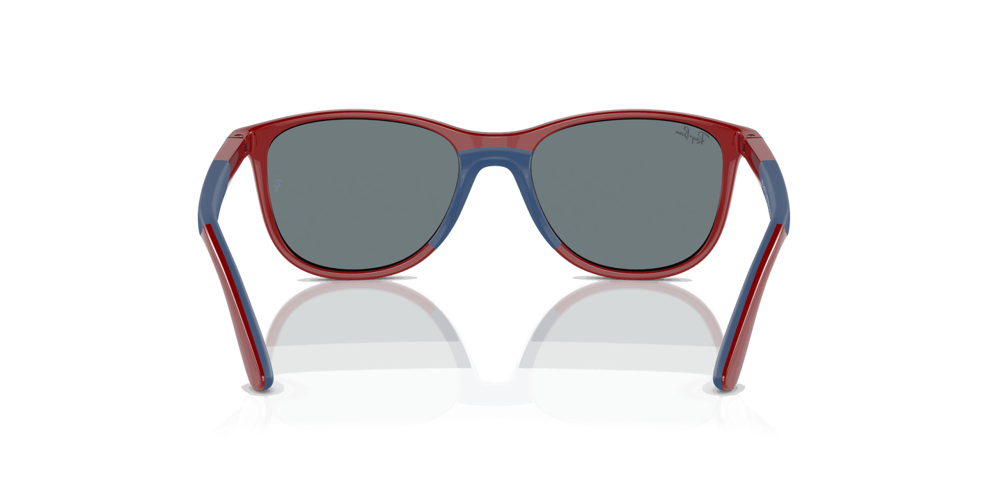 [Grey Black Lenses, Polished Red On Blue Frame]
