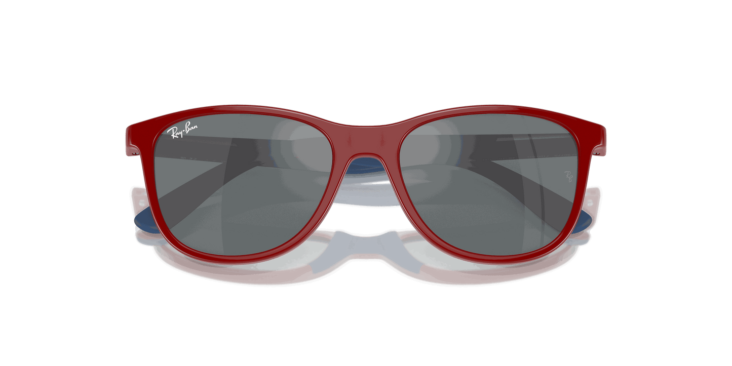 [Grey Black Lenses, Polished Red On Blue Frame]