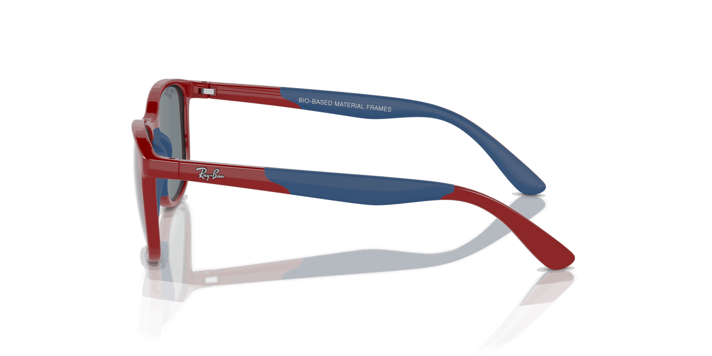 [Grey Black Lenses, Polished Red On Blue Frame]